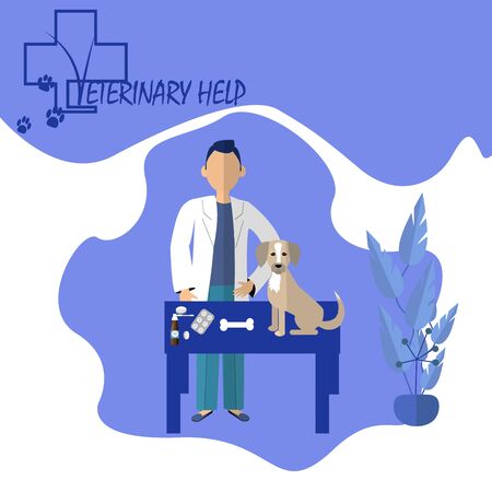 Trendy Concept illustration of veterinary medicine. Doctor veterinary with dog, pills in flat vector designのイラスト素材