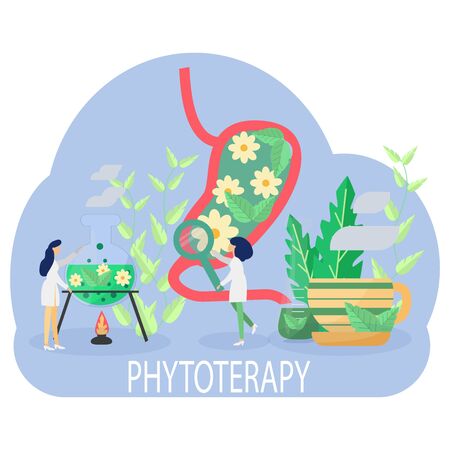 Concept holistic healing flat vector illustration of alternative phytoterapy. Natural, organic homeopathy. Doctors, stomach, herbal tea.のイラスト素材