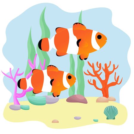 Composition from two clown fish, underwater plants, stones, corals, seashell in vector design. Aquarium, bright, adorable graphic illustration. Nature and wildlife. Editableのイラスト素材