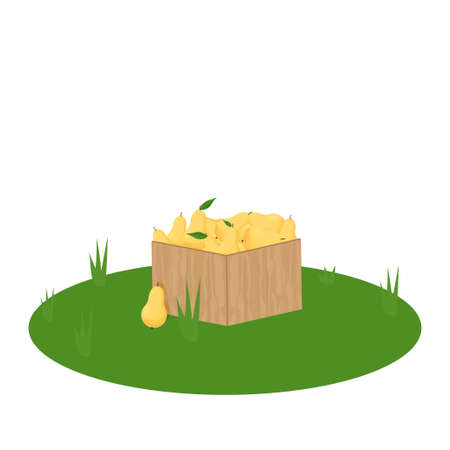 Wooden box full of pears, design element, clipart isolated on white background stock vector illustration. Vector illustrationのイラスト素材