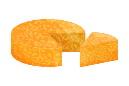 Composition Colby Jack cheese, cut triangle slice and round isolated on white background. Tipe sort, ingredient, design element. Vector illustrationのイラスト素材