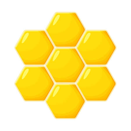 Honeycomb hexagon shape in cartoon style, propolis isolated on white background. Yellow bee hive, sweet wax, beekeeping element. . Vector illustrationのイラスト素材