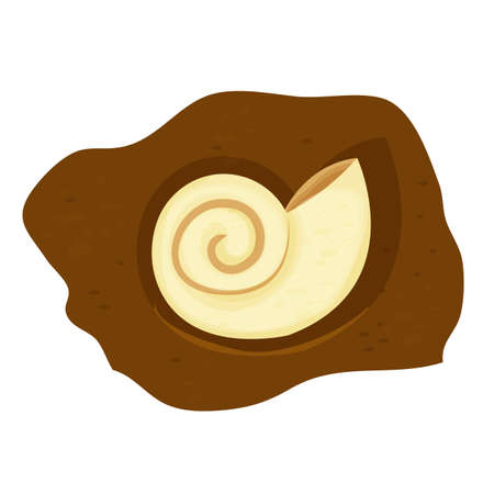 Amonite shell fossil, prehistoric creature in cartoon style isolated on white background. Science spiral snail.のイラスト素材