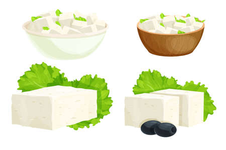 Feta cheese pieces in bowl in cartoon style detailed ingredient isolated on white background. Greek curd white cheese made from sheeps milk or milk bean.のイラスト素材