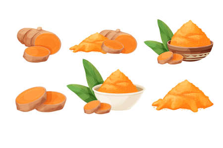 Set turmeric, curcuma dry powder in bowl, cup root in cartoon style isolated on white background. Homeopathy ingredient, aromatic Asian cuisine, close upのイラスト素材