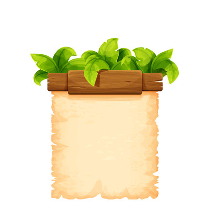 Tropical frame with wooden detail and parchment paper decorated with jungle palm leaves in cartoon style isolated on white background. Game menu design, assetのイラスト素材