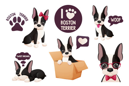Set Cute Boston terrier stickers, cool sweet puppy in cartoon style isolated on white background. Cute dog, print designのイラスト素材