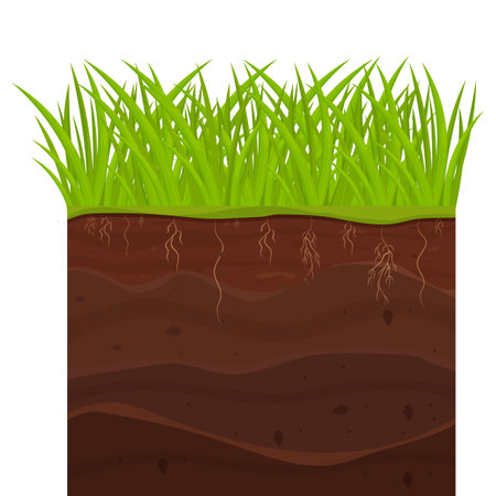 Soil, ground with layers, grass roots and stones, earth sections in cartoon style isolated on white background.のイラスト素材