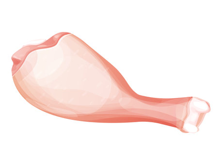 Chicken leg, raw drumstick top view in cartoon style isolated on white background. Bird meat uncoocked, ingredient design.のイラスト素材