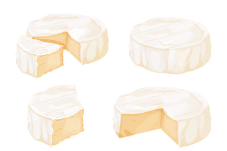 Set Camembert cheese, brie french soft creamy food in cartoon style isolated on white background.のイラスト素材