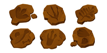 Set dinosaur fossil, paw print, reptile foot trail in cartoon style isolated on white background. Archaeological and paleontology finds.のイラスト素材