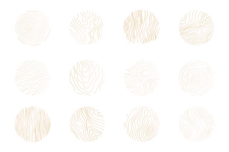 Golden thin line tree ring collection. Elegant gold wooden section texture circle. Topography map geographic grid contour. Wood stump timber.のイラスト素材