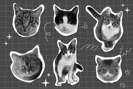 Cat halftone collage sticker set, trendy retro y2k pet, funky emoticon animal, pop aesthetic pink background. Meme head with speech bubble. Funny kitty.のイラスト素材