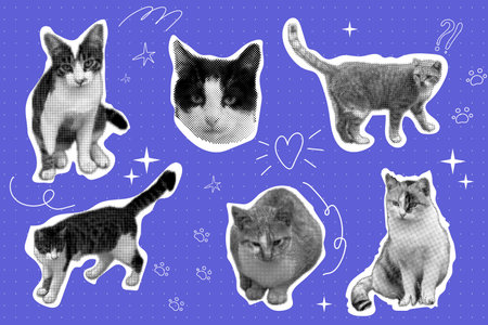 Cat halftone collage sticker set, trendy retro y2k pet, funky emoticon animal, pop aesthetic background. Meme head with speech bubble. Funny kitty.のイラスト素材