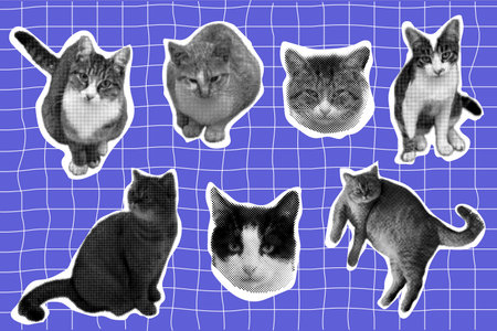 Cat halftone collage sticker set, trendy retro y2k pet, funky emoticon animal, pop aesthetic pink background. Meme head with speech bubble. Funny kitty.のイラスト素材