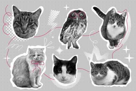 Cat halftone collage sticker set, trendy retro y2k pet, funky emoticon animal, pop aesthetic. Meme head with speech bubble. Funny kitty.のイラスト素材