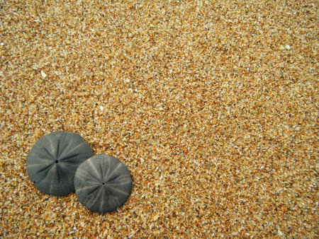 Pattaya Beach
