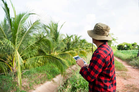 A young Asian farmer happily carried a tablet and examined the coconut trees on the farm.の写真素材