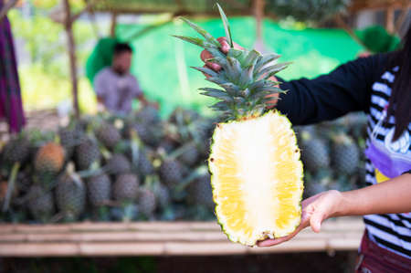 Close-up of a woman holding a pineapple, a woman holding an exotic fruit in her hand while shopping at the community pineapple market. Healthy lifestyle and popular food, Asian farmer.の写真素材