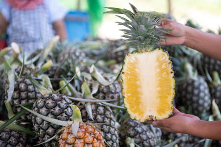 Close-up of a woman holding a pineapple, a woman holding an exotic fruit in her hand while shopping...