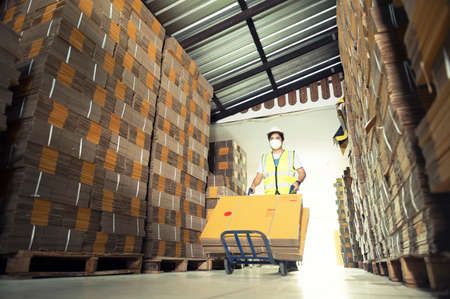Warehouse workers checking stock in a large warehouse in a large warehouse.