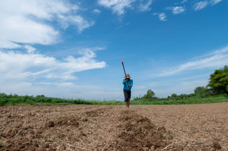 Workers in agriculture, Asian agriculture prepares land for plantingの写真素材