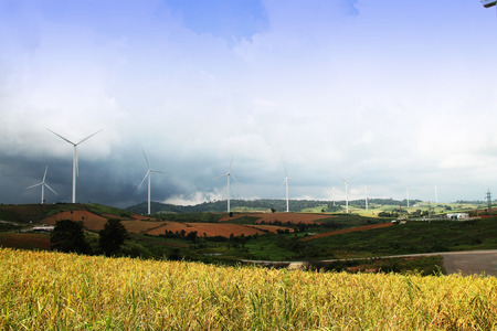 Wide field and rice field and wind turbine for electric at Thailand