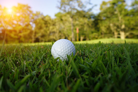 Golf ball on green in beautiful golf course at sunset background.の写真素材