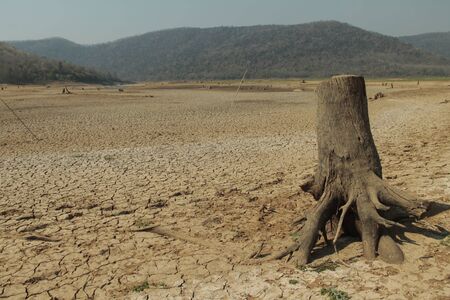 Cracked earth from arid drought weather in dam or river, hot summer nature, dead stump tree on hill and blue sky, surface clay soil rough crack pattern texture background, desert broken hot mud groundの写真素材