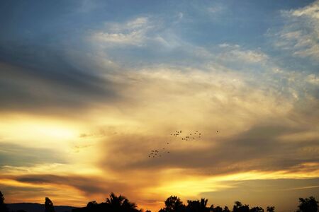 Beautiful clouds and golden sky. The beautifu sky with Sunset background.                                の写真素材