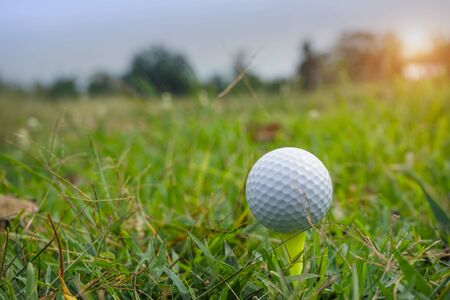 golf ball on green grass. Golf ball on tee in the evening golf course with sunshine background.                               の写真素材