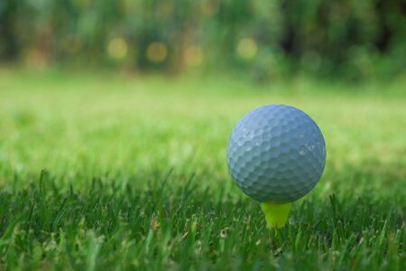 Golf ball on tee in the evening golf course with sunshine background.                               の写真素材
