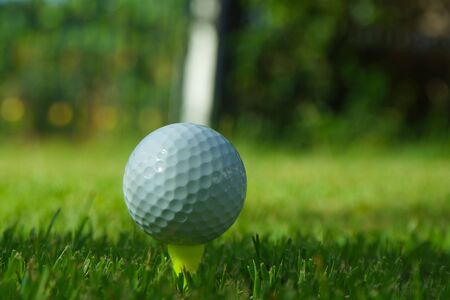 Golf ball on tee in the evening golf course with sunshine background.                               の写真素材