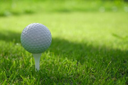 Golf ball on tee in the evening golf course with sunshine background.                               の写真素材