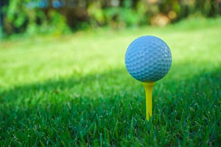 Golf ball on tee in the evening golf course with sunshine background.の写真素材