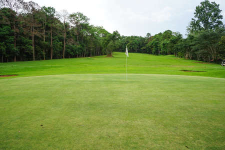 Background of evening golf course has sunlight shining down at golf course in Thailand. Nice scenery on a golf course at a late summer afternoon.の写真素材