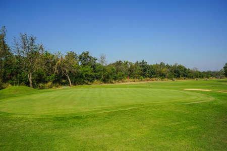 Beautiful golf course in a sunny day. Background evening golf course has sunlight shining down. Golf course in the countrysideの素材 [FY310164117532]