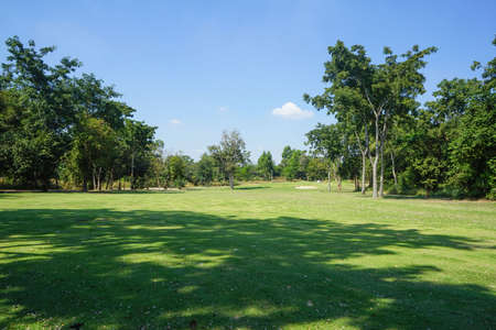 Beautiful golf course in a sunny day. Background evening golf course has sunlight shining down. Golf course in the countrysideの写真素材
