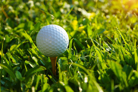 Golf ball on tee in the evening golf course with sunshine background. Golf ball on the green with warm tone and sunset.の写真素材