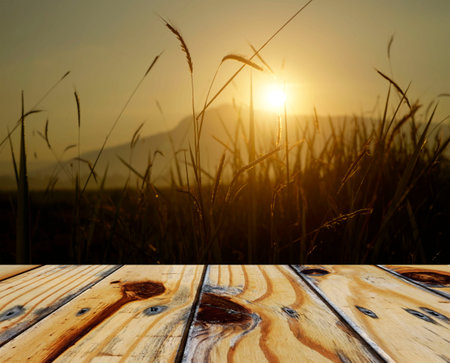Empty wooden table on rice plants and ears of rice background. Mock up for your product display or montage.の写真素材