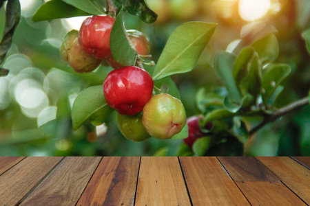 Wooden table on Acerola cherry and leaves background. Mock up for your product display or montage.の写真素材