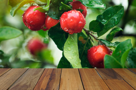 Empty wooden table on nature grass flower background. Mock up for your product display or montageの写真素材