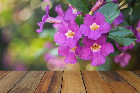 Empty wooden table on nature grass flower background. Mock up for your product display or montageの写真素材