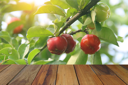 Wooden table on Acerola cherry and leaves background. Mock up for your product display or montageの写真素材