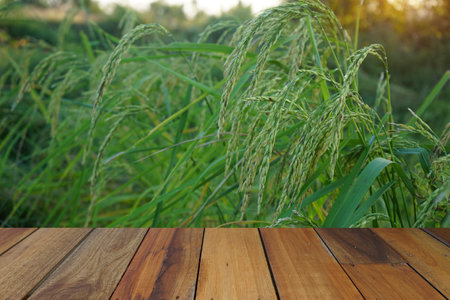 Empty wooden table on sunset nature background. Mock up for your product display or montageの写真素材