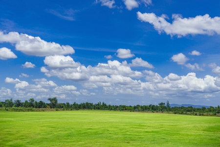 Green grass field on blue sky with cloud background. Green meadow under blue sky with clouds.の写真素材