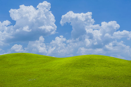 Green grass field on blue sky with cloud background. Green meadow under blue sky with clouds.の写真素材