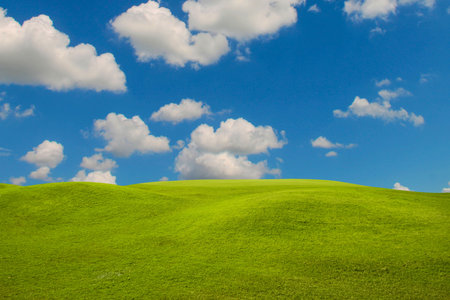 Green grass field on blue sky with cloud background. Green meadow under blue sky with clouds.の写真素材