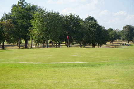Background of evening golf course has sunlight shining down at golf course in Thailand. Nice scenery on a golf course at a late summer afternoon.の写真素材