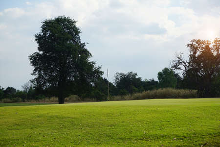 Background of evening golf course has sunlight shining down at golf course in Thailand. Nice scenery on a golf course at a late summer afternoon.の写真素材